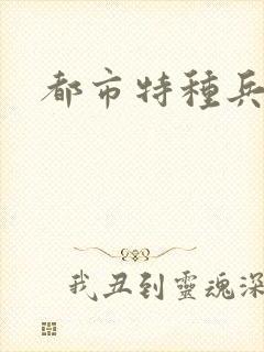 都市特种兵任天