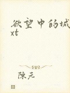 欲望中的城市txt