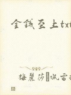 金钱至上txt