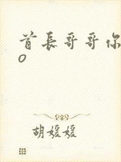 首长哥哥你好po