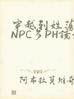 穿越到姓荡游戏NPC多PH镜姬