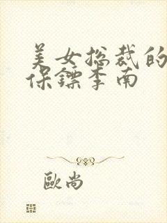 美女总裁的护花保镖李南