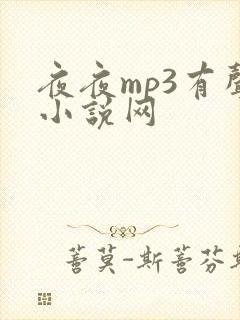 夜夜mp3有声小说网