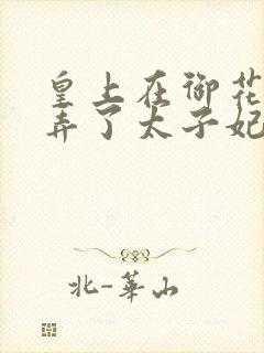 皇上在御花园c弄了太子妃