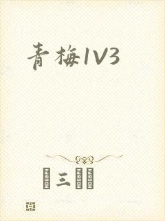 青梅1V3