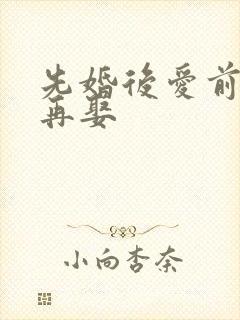 先婚后爱前妻难再娶