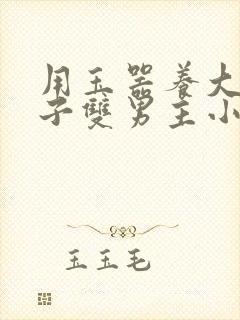 用玉器养大的皇子双男主小说