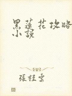 黑莲花攻略手册小说