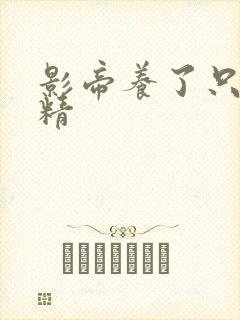 影帝养了只玫瑰精