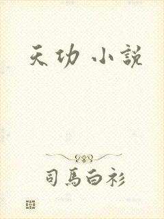 天功 小说