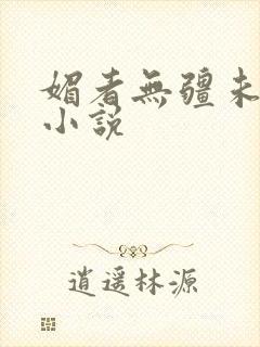 媚者无疆未删减小说