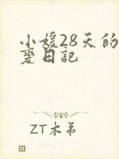 小媛28天的剧变日记