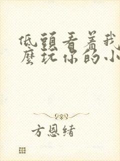 低头看着我是怎么玩你的小说
