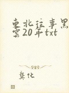 东北往事黑道风云20年txt