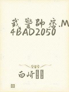 武警帅痞.MP4BAD2050