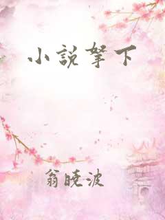 小说拿下