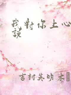 我对你上心了小说