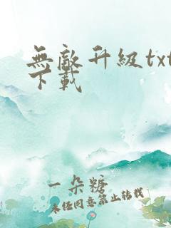 无敌升级txt下载