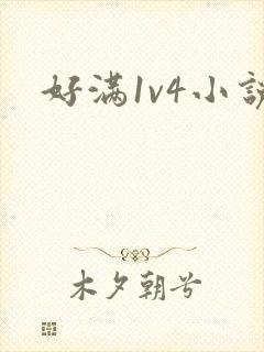 好满1v4小说