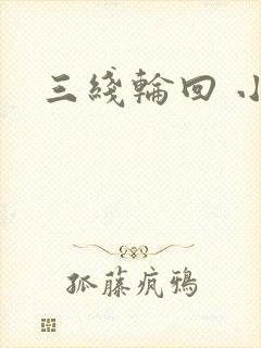 三线轮回 小说