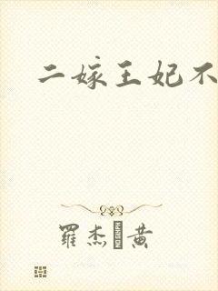 二嫁王妃不好惹