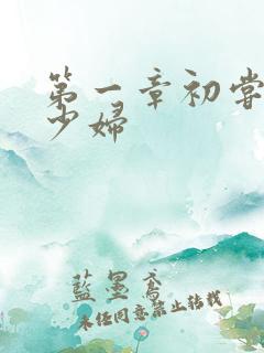 第一章初尝云雨少妇