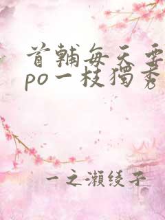 首辅每天要不够po一枝独秀全文