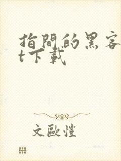 指间的黑客txt下载