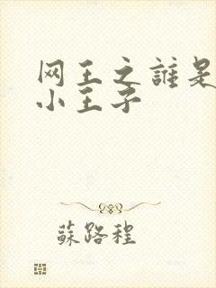 网王之谁是我的小王子