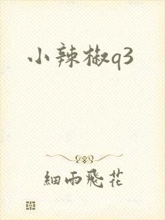 小辣椒q3