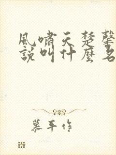 风啸天楚馨月小说叫什么名字