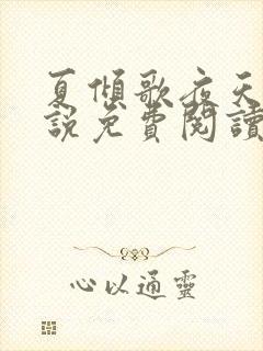 夏倾歌夜天承小说免费阅读