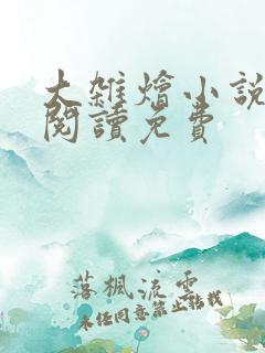 大杂烩小说全集阅读免费