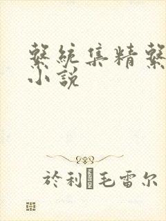 系统集精系统 小说