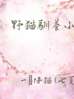 野猫驯养小说
