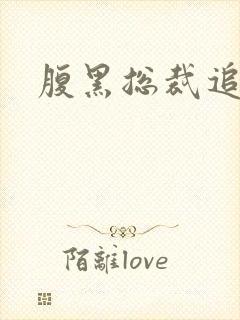 腹黑总裁追娇妻