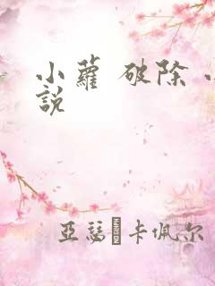 小萝 破除 小说