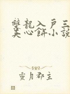 双龙入户三人行夹心饼小说