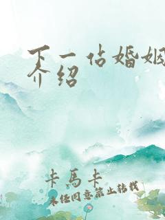 下一站婚姻剧情介绍