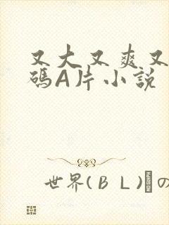 又大又爽又黄无码A片小说