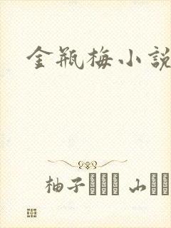 金瓶梅小说在线