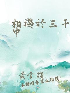 相遇于三千肉文中