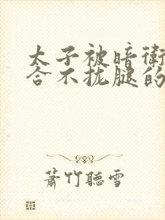 太子被暗卫c到合不拢腿的后果