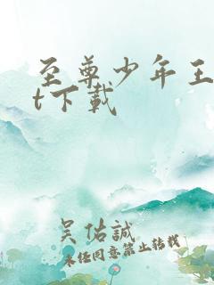 至尊少年王txt下载