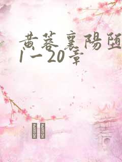 黄蓉襄阳堕落史1一20章