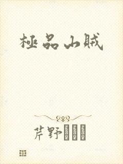 极品山贼