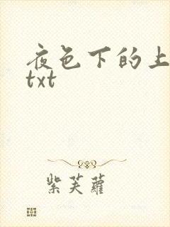 夜色下的上海滩txt