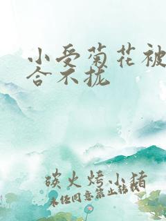 小受菊花被双龙合不拢