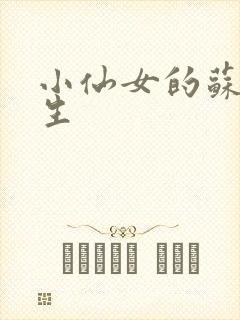 小仙女的苏撩先生