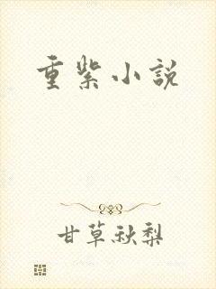 重紫小说